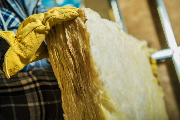Best Spray Foam Insulation  in Clear Lake, IA